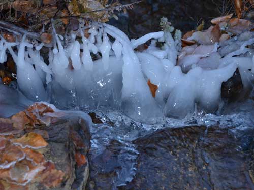 Foto Diamante glaciare (c) Petru Goja